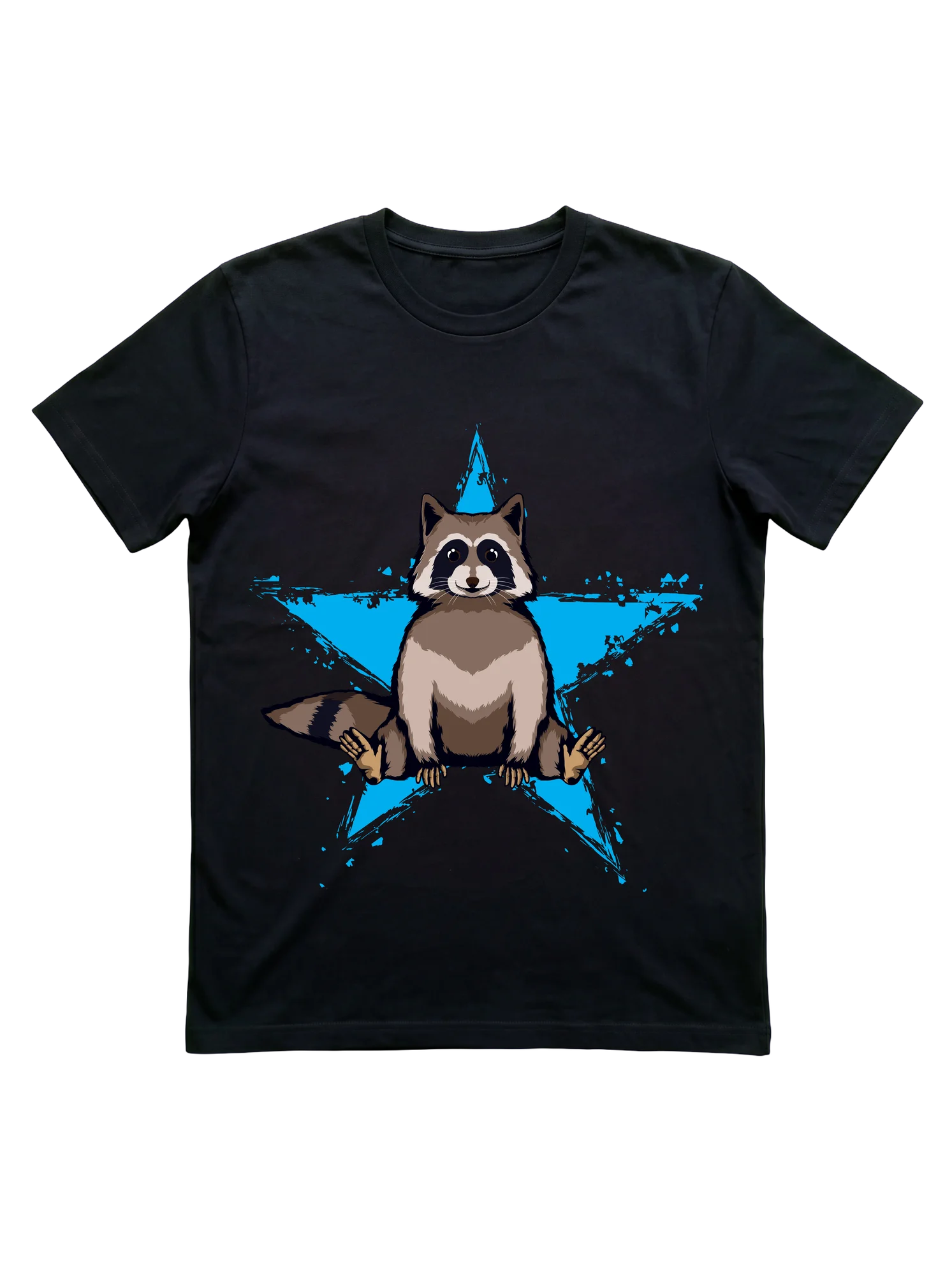 Raccoon Birthday Gift Ideas for Trash Panda Lovers